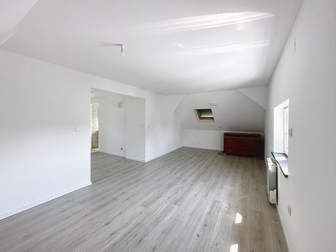 photo no. 13