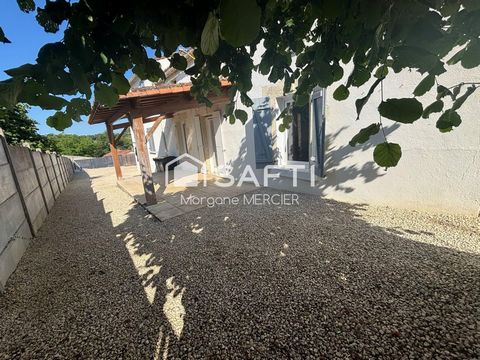 photo no. 10