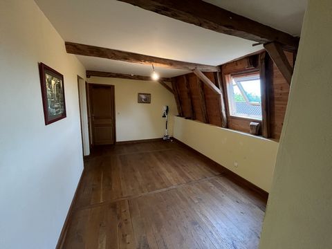 photo no. 4
