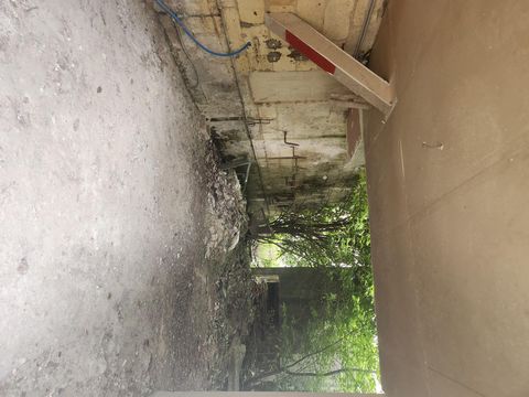 photo no. 4