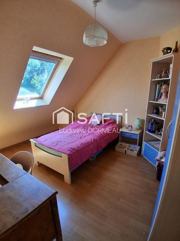photo no. 7