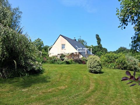 photo no. 9