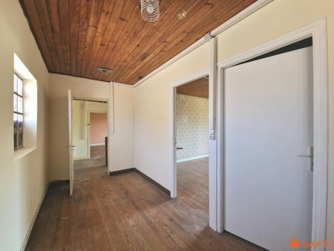 photo no. 11