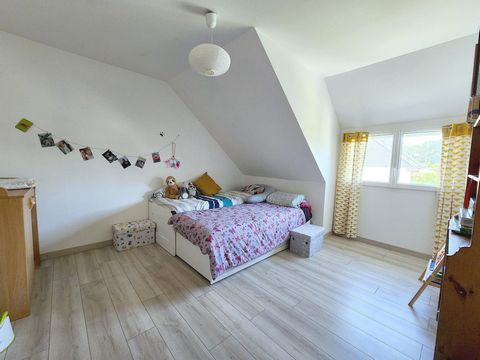 photo no. 7