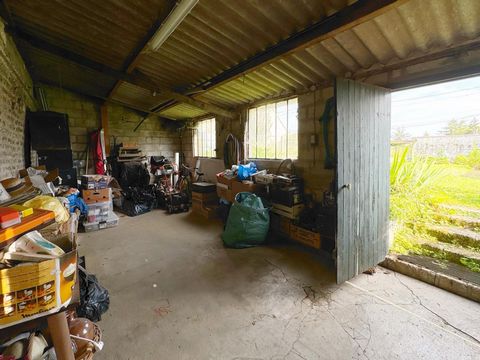 photo no. 10