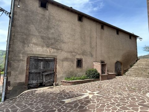 photo no. 15
