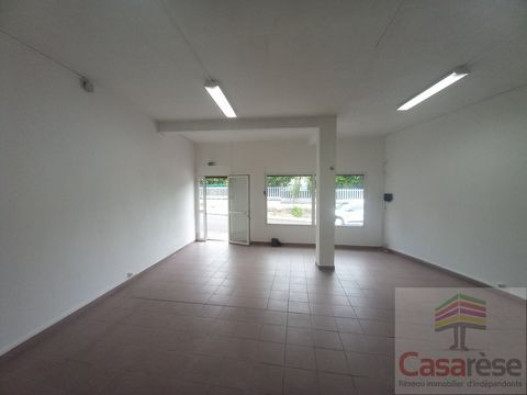 photo no. 2
