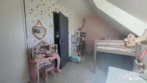 photo no. 15