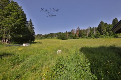 photo no. 1