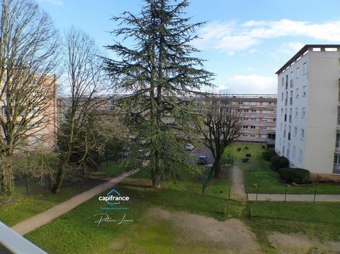 photo no. 1