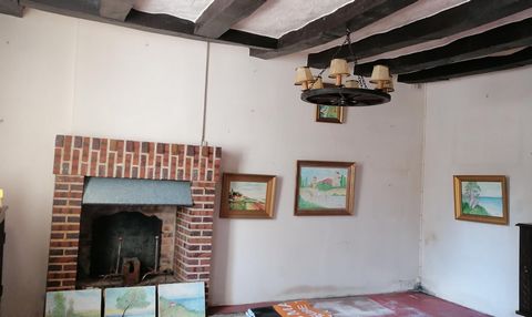photo no. 5