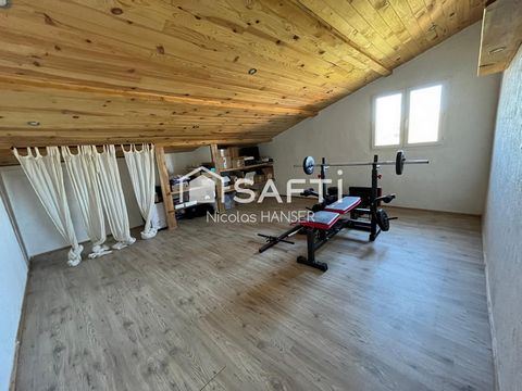 photo no. 11