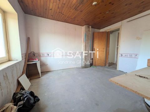 photo no. 13
