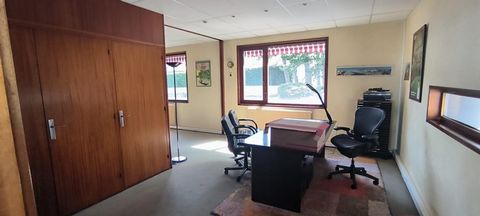 photo no. 16