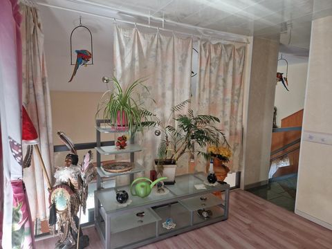 photo no. 11