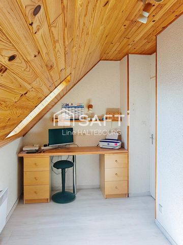 photo no. 8