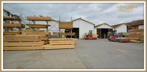 photo no. 2