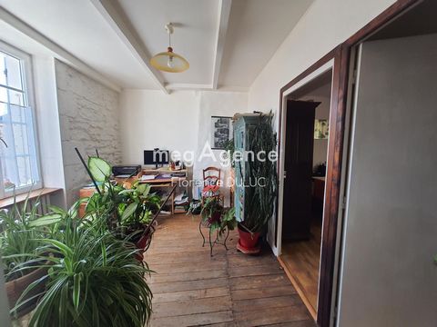 photo no. 8