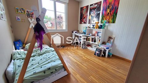 photo no. 15