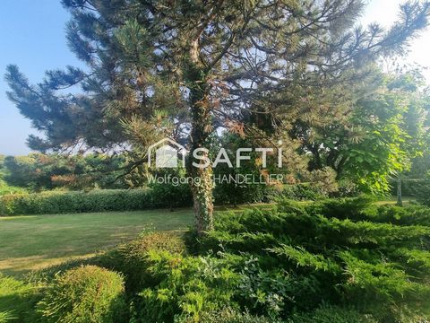 photo no. 13
