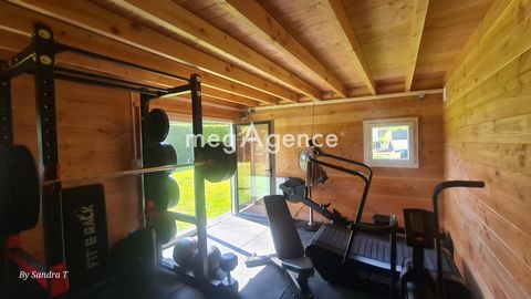 photo no. 11