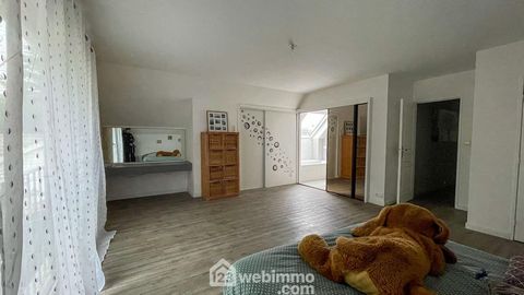 photo no. 17