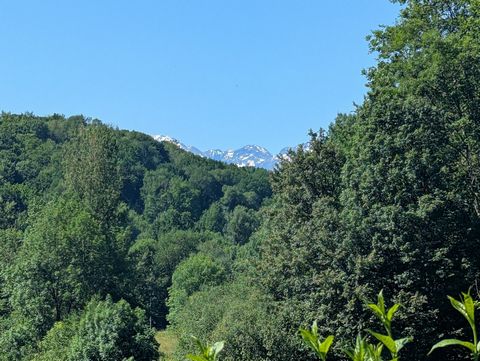 photo no. 11