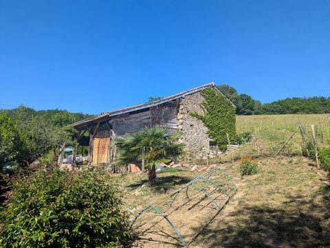 photo no. 13