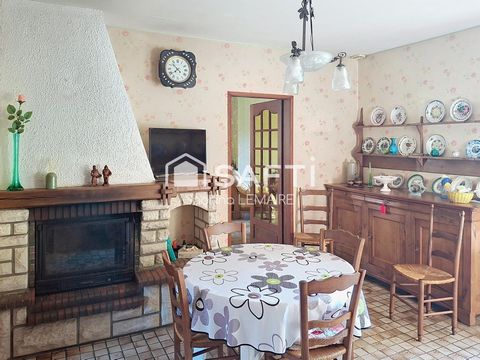 photo no. 4