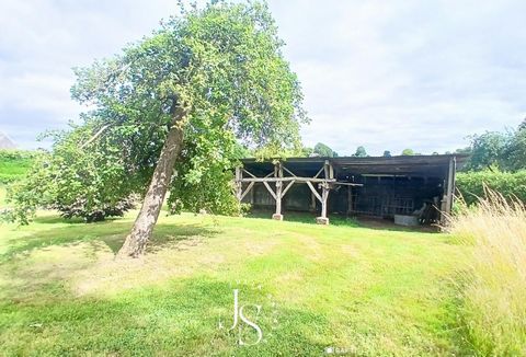 photo no. 14