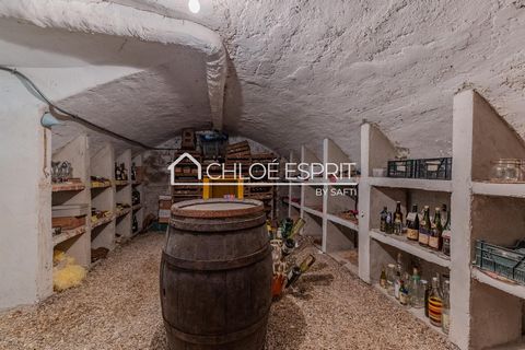 photo no. 14