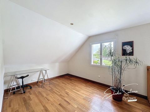 photo no. 11