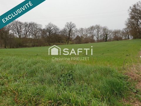 Terrain spacieux et constructible