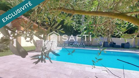 photo no. 11