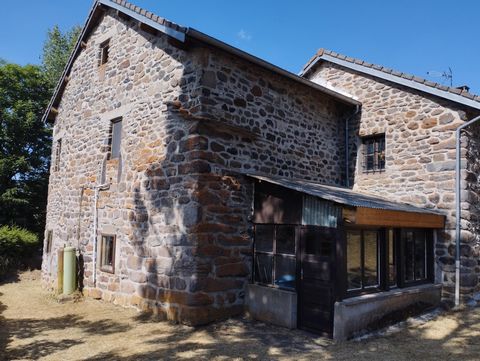 photo no. 15