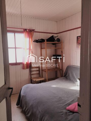 photo no. 4