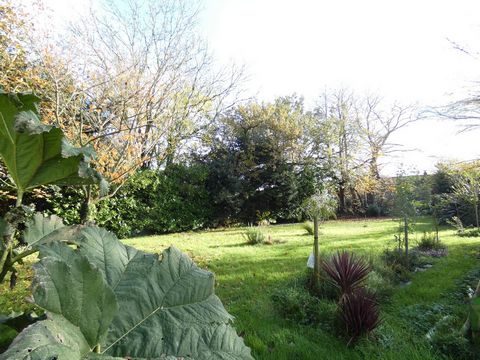 photo no. 7