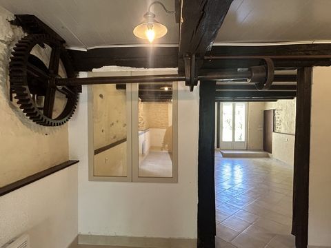 photo no. 15