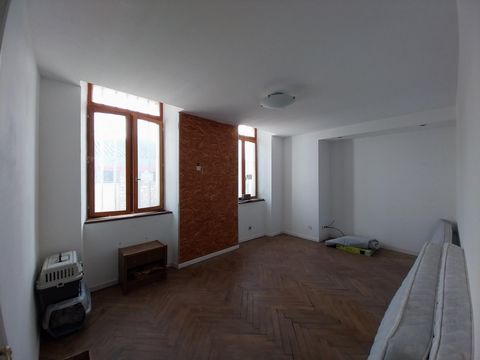 photo no. 10