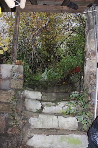photo no. 10