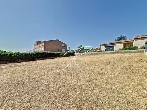 photo no. 5