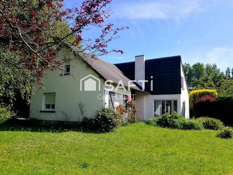 photo no. 12