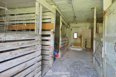 photo no. 12