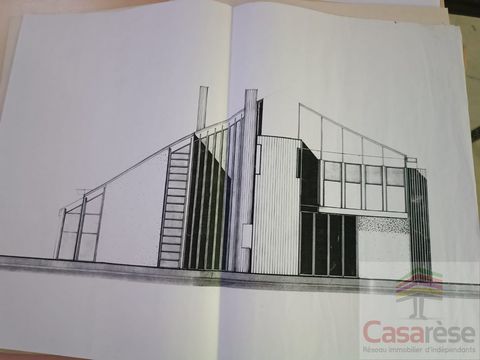 photo no. 12