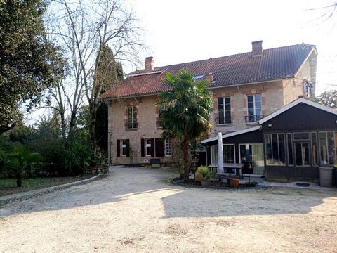 photo no. 15