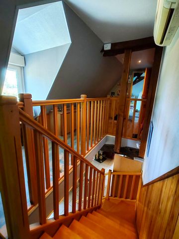 photo no. 16