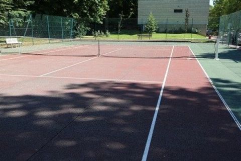 photo no. 10