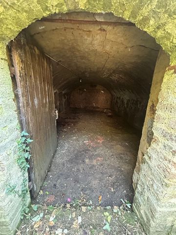 photo no. 10