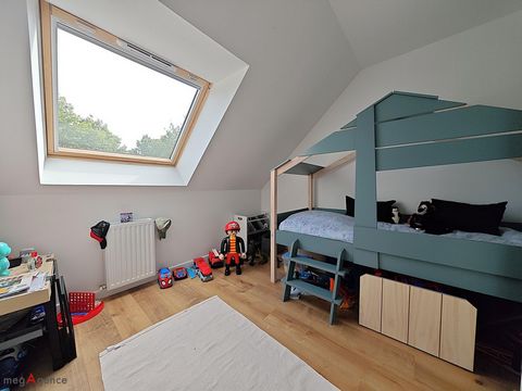 photo no. 11
