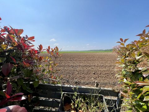 photo no. 17